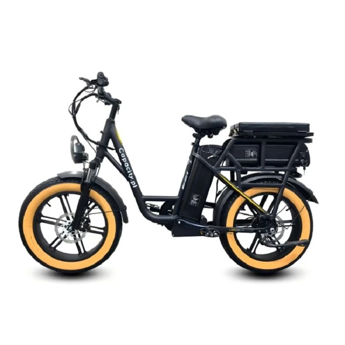 Bicicleta de montaña con asistencia eléctrica