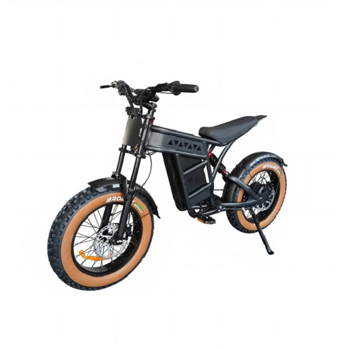 Electric Motorcycle Dual Sport